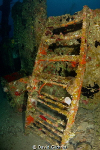 Ladder near the Bow of the El Aguila wreck, Roatan by David Gilchrist 